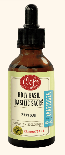 Basilic Sacré - Clef des champs - 15ml